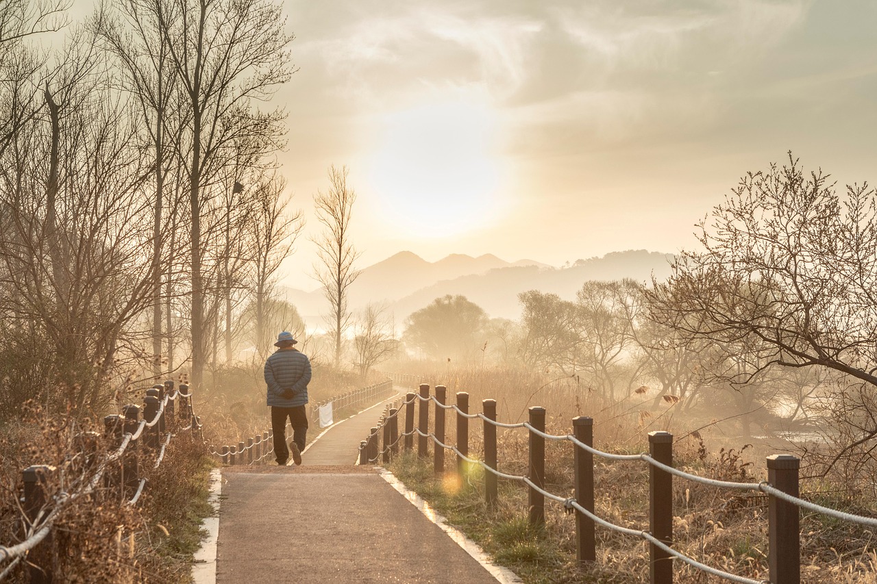 A quiet path at sunrise