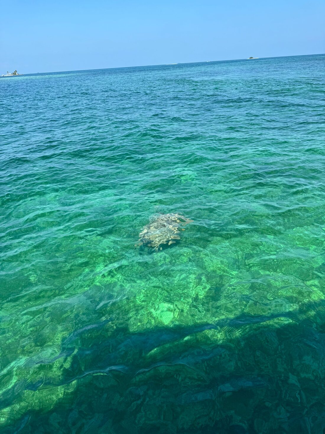 Clear Caribbean water over a coral reef